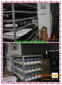 電腦攝像頭的制造與發展 OEM工廠、價格及計算機軟硬件開發